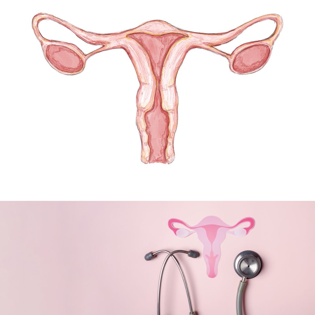 Assisted Reproductive Technology(ART)