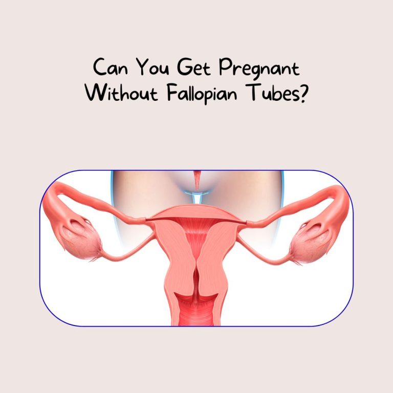 Can You Get Pregnant Without Fallopian Tubes?