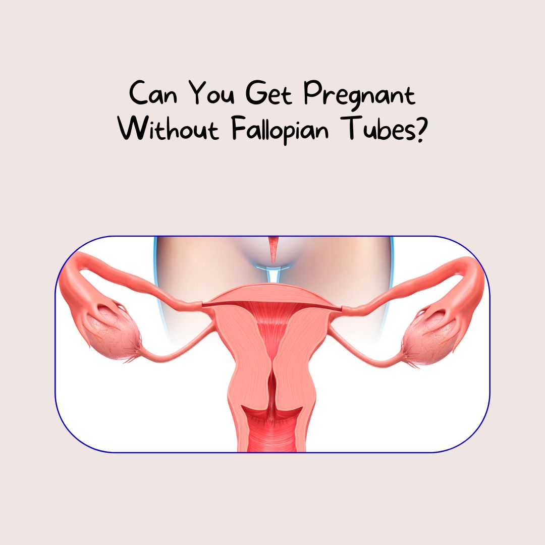 Can You Get Pregnant Without Fallopian Tubes?