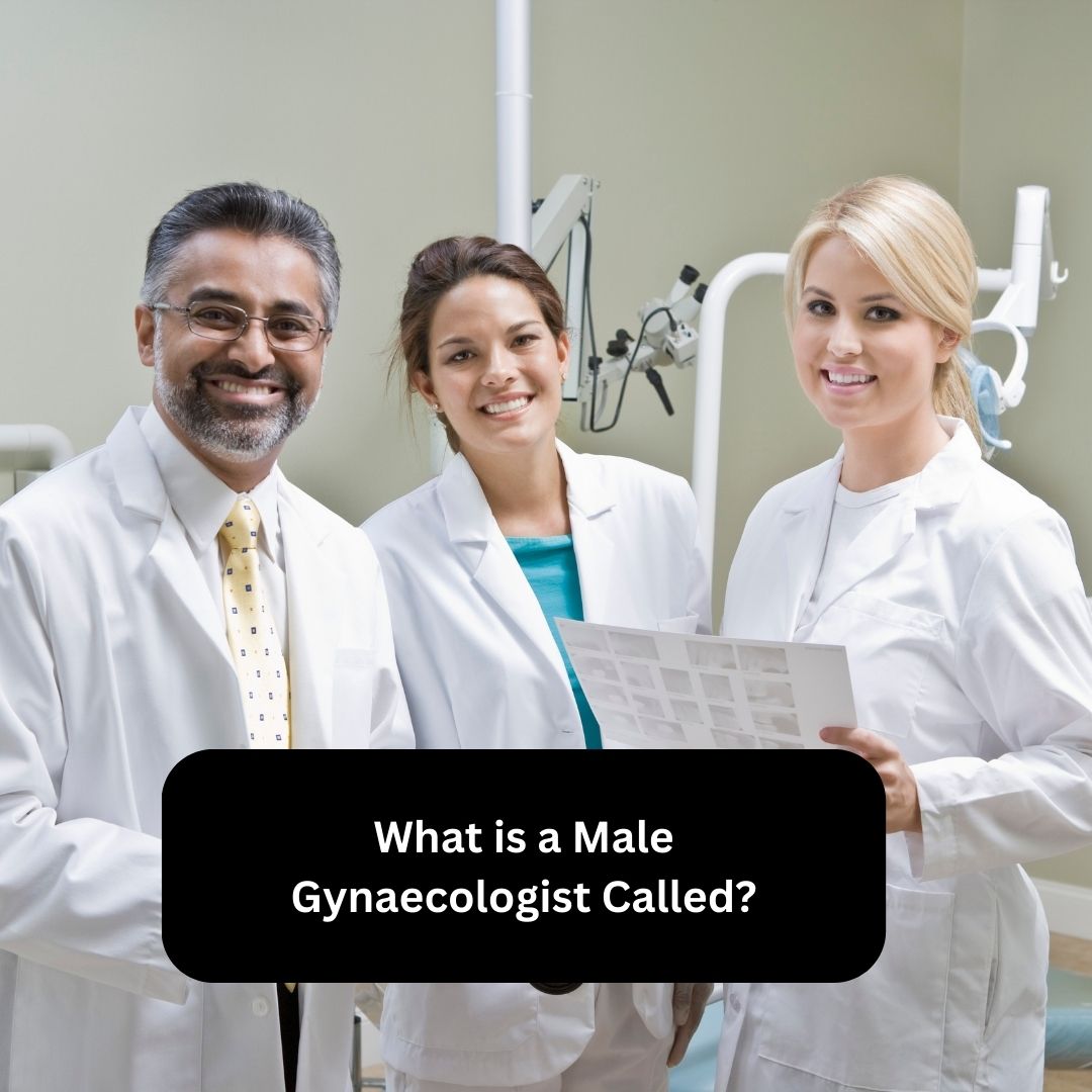 What is a Male Gynaecologist Called?