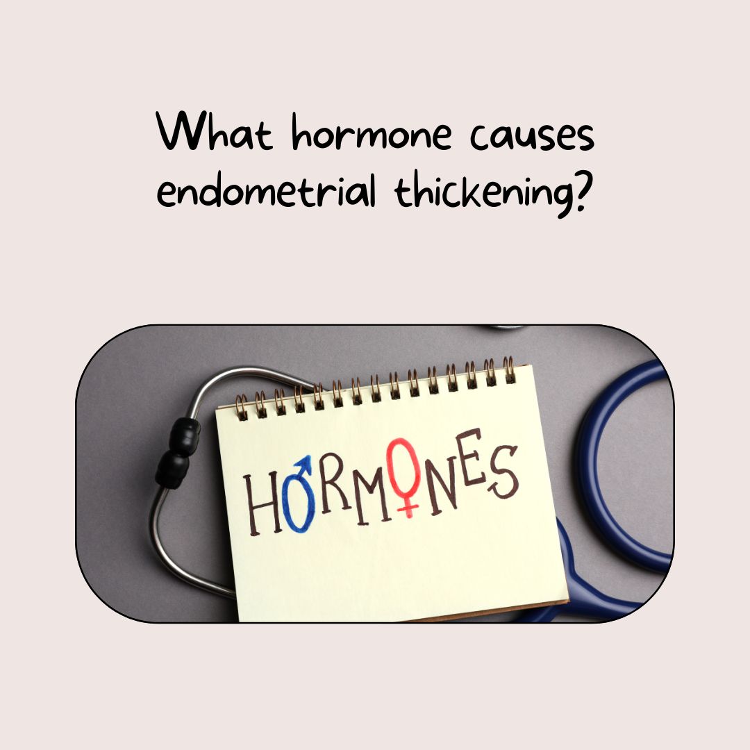 What hormone causes endometrial thickening?