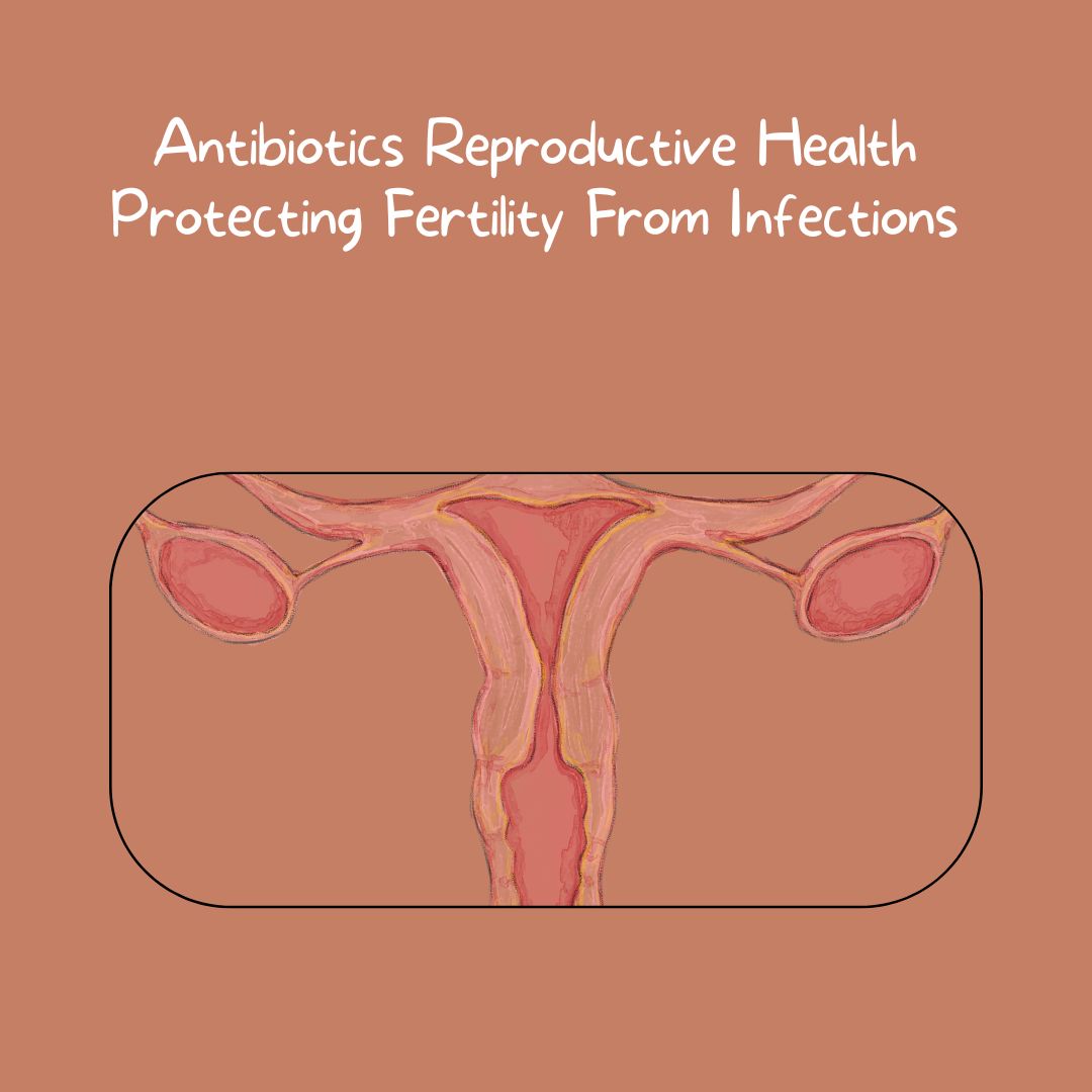 Antibiotics Reproductive Health Protecting Fertility From Infections