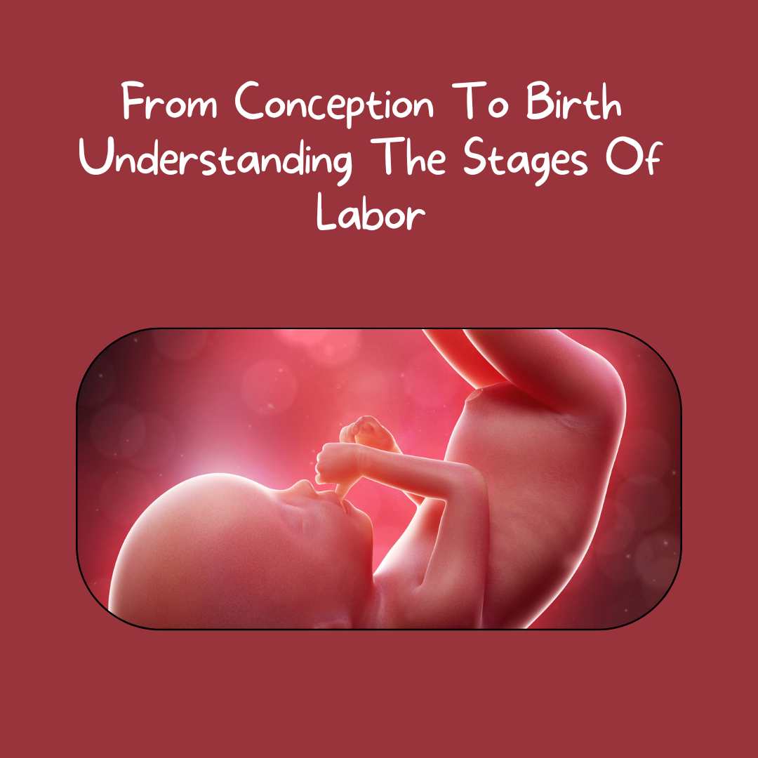 From Conception To Birth Understanding The Stages Of Labor