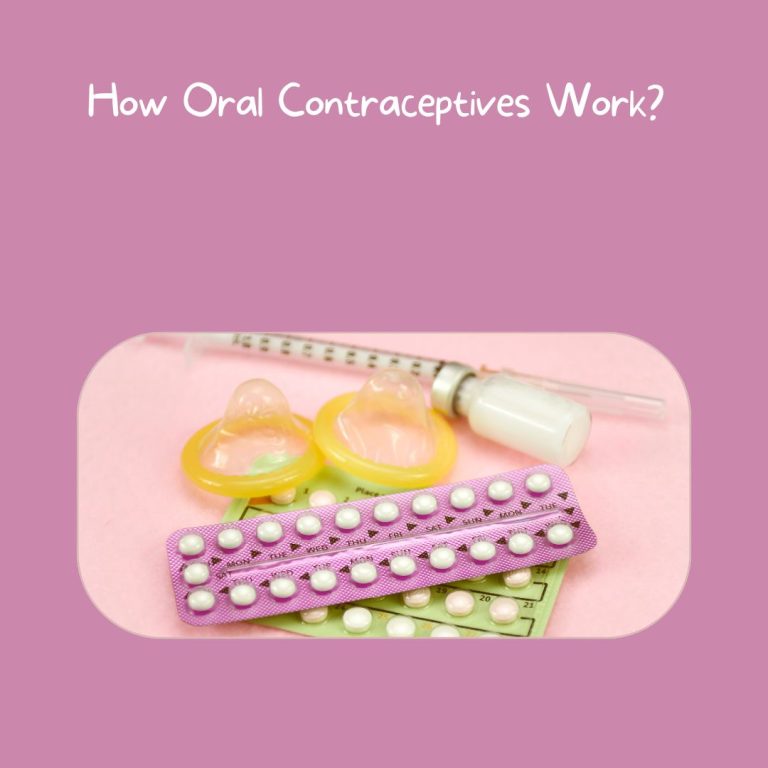 How Oral Contraceptives Work?
