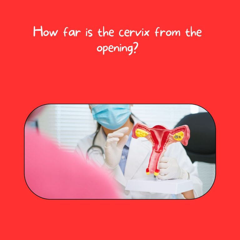 How far is the cervix from the opening?