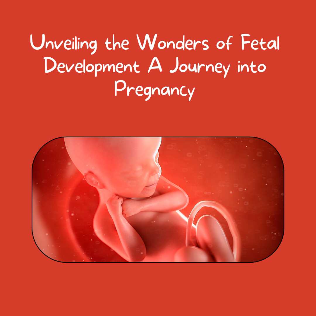 Unveiling the Wonders of Fetal Development A Journey into Pregnancy