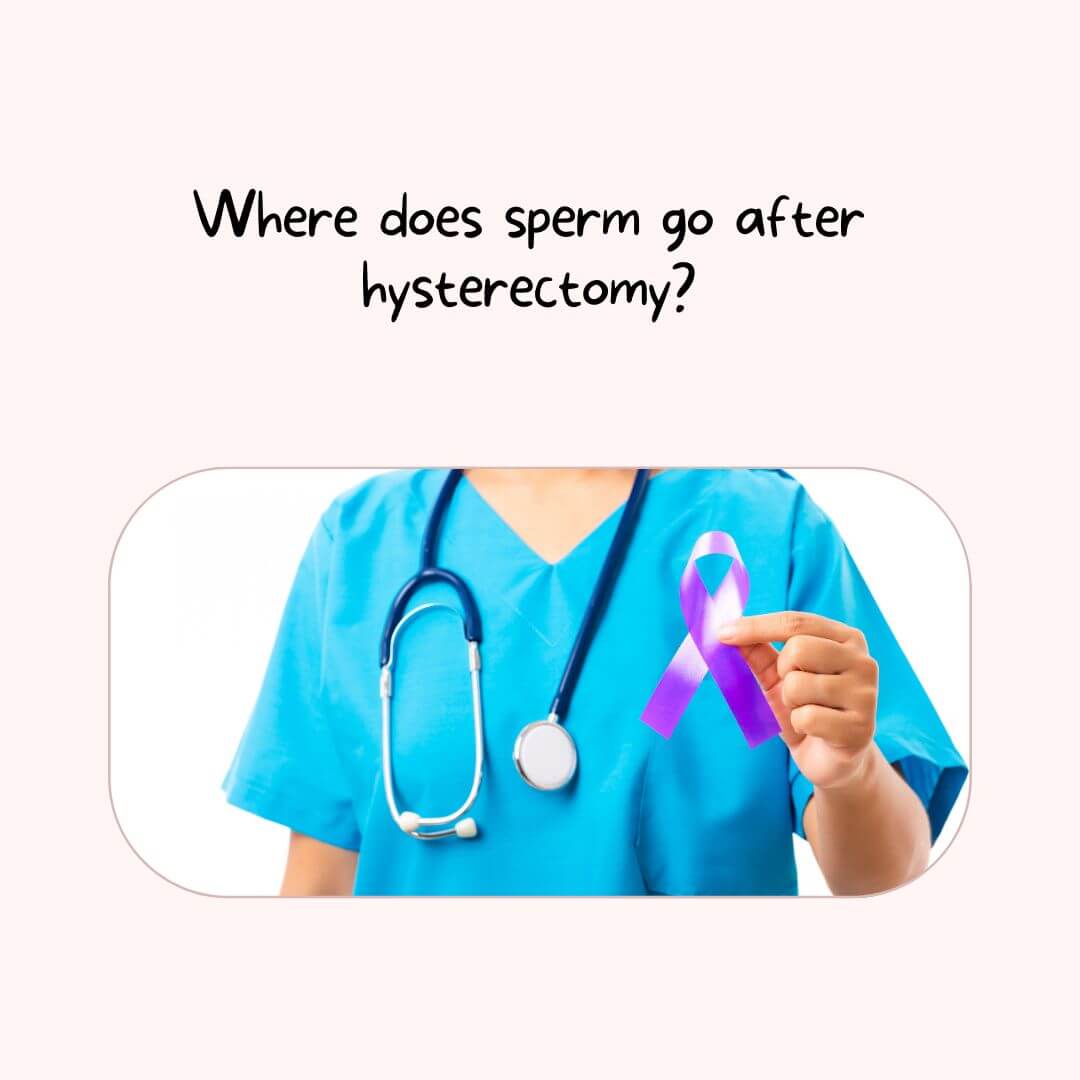 Where does sperm go after hysterectomy?